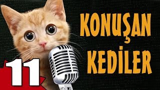 Konuşan Kediler 11 - En Komik Kedi ları