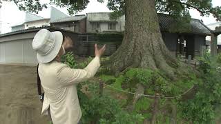 Temple No.87  Nagaoji   Kagawa Prefecture