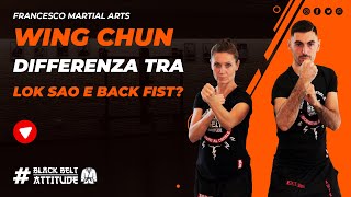 Wing Chun | Qual È La Differenza Tra Lok Sao E Back Fist