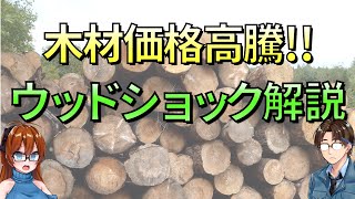 家が建てれない!?木材価格高騰!!ウッドショック解説【建築解説】@otty_architect