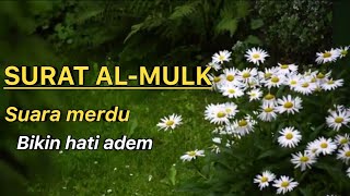 Surat Al-Mulk paling indah dan adem|recitation