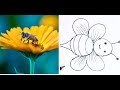 How To The Bee Pencil Sketch Step By Step Taniya Art Academy