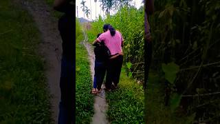 মিস্টু টুলুর কান্ডো দেখো কি করছে এসব😱😇😎😁😃#shorts