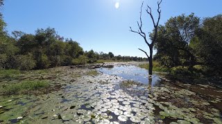 KRUGER NATIONAL PARK | BUSHVELD DRIVE VIEWS