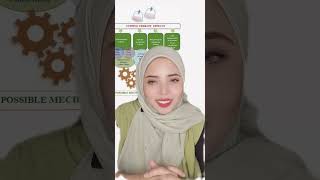 Shera live tiktok miss rajabekam sesi petang 27 Nov 2024