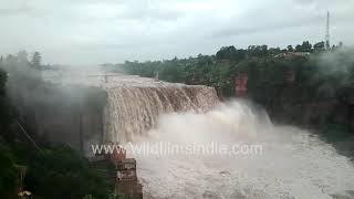 Flooded dams and rivers in Karnataka during monsoon floods