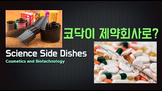 [SSD 한] 코닥의 변신