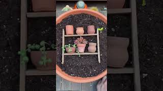 unique way to make a tray garden 🌿#shorts #shortsviral #ytshorts #youtubeshorts #traygarden #viral