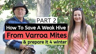 Beekeeping For Beginners - How To Save a Weak Hive From Varroa Mites (PART 2)