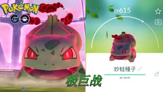 【Pokemon Go】妙蛙种子 フシギダネ Bulbasaur 极巨战 Max Raid | 宝可梦Go