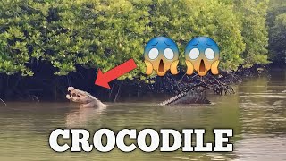 Shoal Bay 19 Number // Crocodile In Shoal Bay // Andaman And Nicobar Islands 🏝