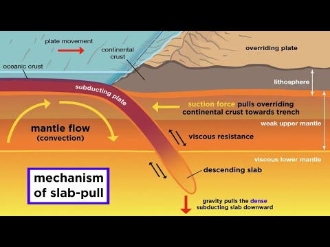 Which statement best describes how the mantle is similar to Earth’s oceanic crust?