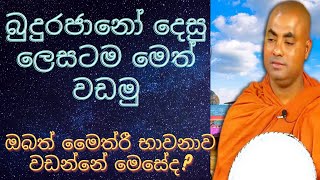 බුද්ධ භාෂිතයට අනුව මෛත්‍රී භාවනාව වඩන ආකාරය