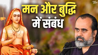 मन और बुद्धि में क्या सम्बन्ध है? || आचार्य प्रशांत, तत्वबोध पर (2019)