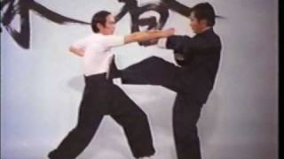 Wing Chun Basic Techniques part 2