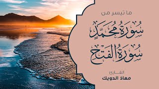 ما تيسر من سورة الفتح و سورة محمد معاذ الدويك | Beautiful Recitations Muaz Al Duweek