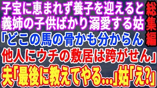 【スカッと☆総集編】身寄りのない子を施設から引き取り養子にすると義姉の子供ばかり溺愛する義母「赤の他人の子にウチの敷居は跨がせませんｗ」→夫「母さん、最後だから教えてやる…」後日、顔面蒼白の姑【修羅場