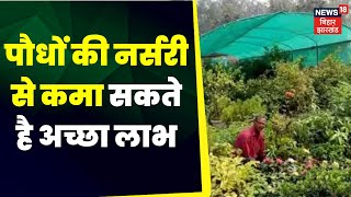 Annadata : पौधों की नर्सरी से कमा सकते है अच्छा लाभ  Plant Nursery  | Farming In India| Farming Tips