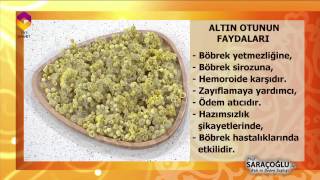 TIBBİ BİTKİLER- ALTIN OTUNUN FAYDALARI