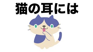 ９割の人がどうでもよい猫の雑学その１【豆知識チャンネル】