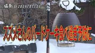 スズメさんのバードケーキ食べ過ぎ予防に。北海道の釧路町で野鳥の越冬給餌