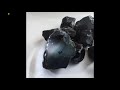 obsidian obsidian cat s eye stone and information