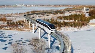 SkyRail: BYD's Silver Bullet for Urban Congestion