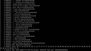 Linux aural kernel panic