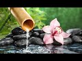 Relaxing Sleep Music • Relaxing Music, Stress Relief, Spa Music, Meditation Music