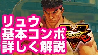 スト5リュウの基本コンボ解説 ＋α