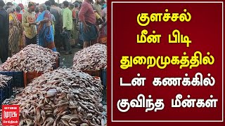 குளச்சல் மீன் பிடி துறைமுகத்தில் டன் கணக்கில் குவிந்த மீன்கள் | Kanyakumari | Colachel Port