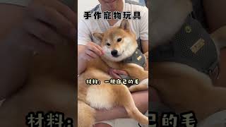 【饅頭成長日記】生活小事EP. 92 #寵物 #柴犬