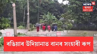 Rangia Flood 2024 | ৰঙিয়াৰ উদিয়ানাত বানৰ সংহাৰী ৰূপ | অব্যাহত আছে বৰলীয়া নৈৰ তাণ্ডৱ | N18V