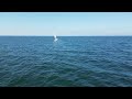 footage dji 3 mini pro sailboat moody 35 baltic sea