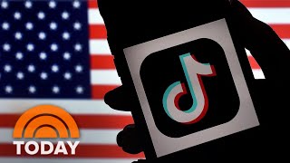 Senate Bans TikTok From All Government Phones And Devices