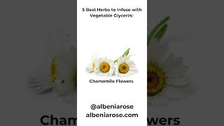 5 of the best herbs to Infuse with vegetable glycerin #herbs #gingerroot.