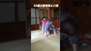 88歳の曾祖母＆ひ孫の遊び