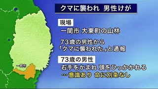 わなにかかったクマに猟友会の男性が襲われけが　命に別条なし＜岩手・一関市＞ (23/05/28 18:45)