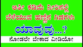 ಅತೀ ಕಡಿಮೆ ನೀರಲ್ಲಿ ಬೆಳೆಯುವ ಹಣ್ಣಿನ ಗಿಡಗಳು ಯಾವುವು? What are the lowest water plants?