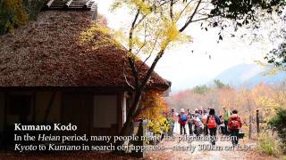 Kumano Kodo - Wakayama - The home of God