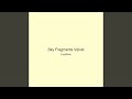 Sky Fragments Velvet
