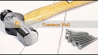 (LITUO) Common nail full details