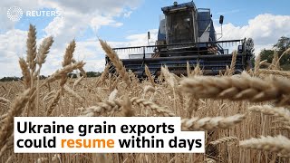 Ukraine grain export could resume within days