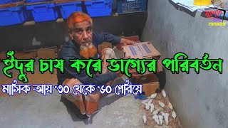 ইঁদুর চাষ করে ভাগ্যের পরিবর্তন | RAT FARM | New Video | সাদা ইঁদুর ||@সূত্রপাত টিভি 2023