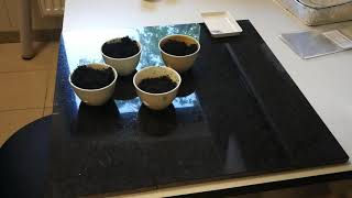 expansion of graphite - experiment