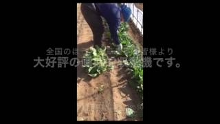 ほうれん草根切り機　小松菜　カミイエ農機