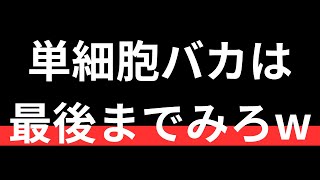 【1/11ドルスト分析】ドルストで勝てる方法教えます《FX・相場分析》