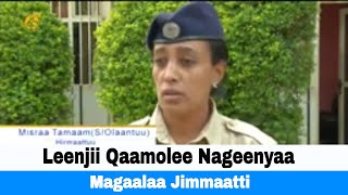 Leenjii Qaamolee Nageenyaa Magaalaa Jimmaatti