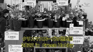 クリスマスローズの世界展　2022  in Green Hobby