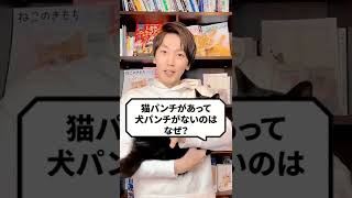 Q：猫パンチがあって犬パンチがないのはなぜ？